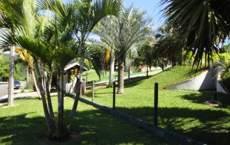 Entrada e jardim frontal